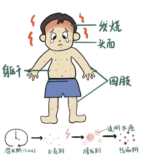 微信图片_20241107142955