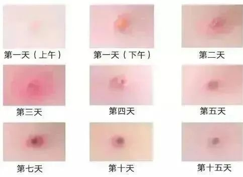 微信图片_20241107142958