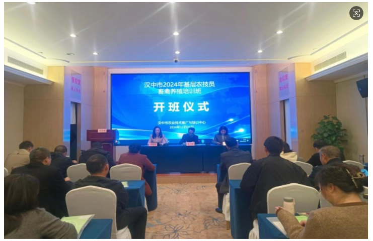 微信图片_20241114155908