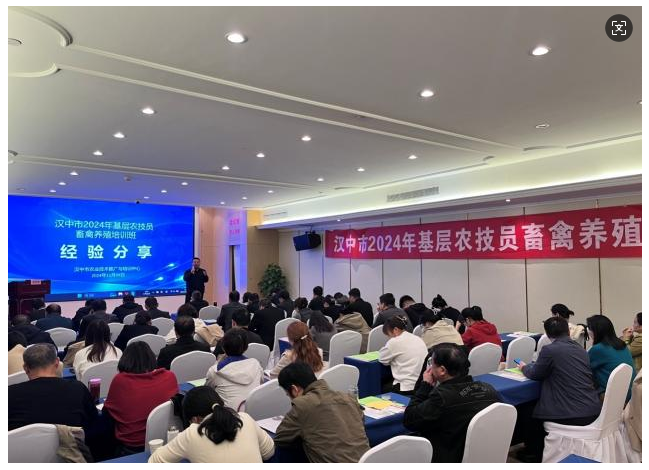 微信图片_20241114155926