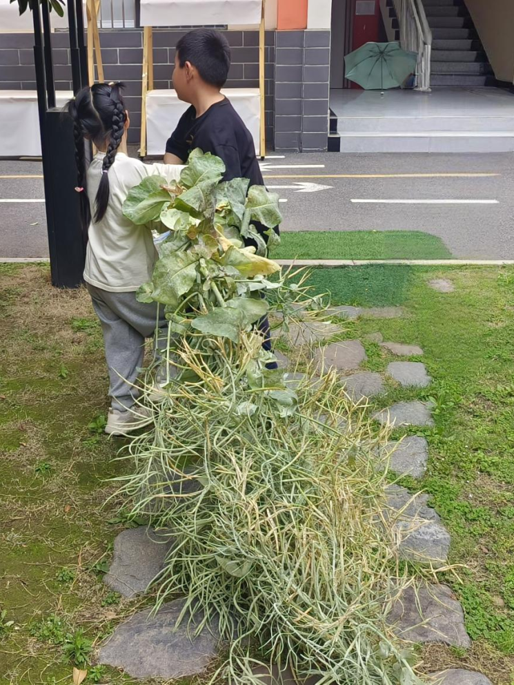 微信图片_20241115093110