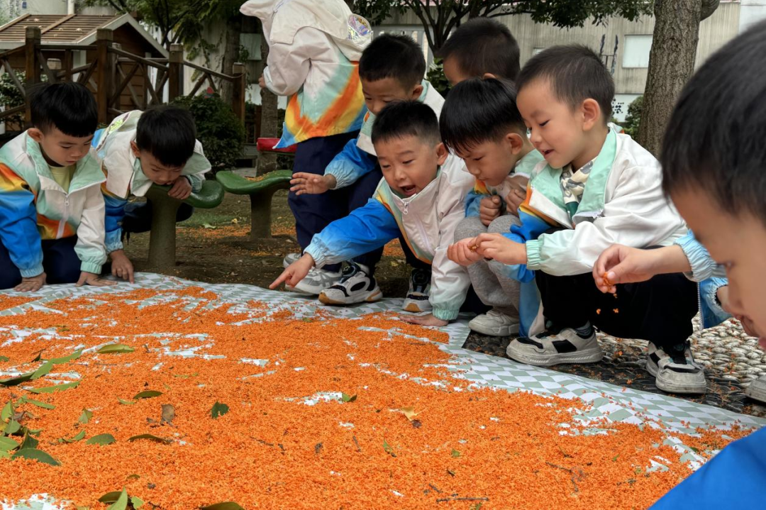 微信图片_20241115093118