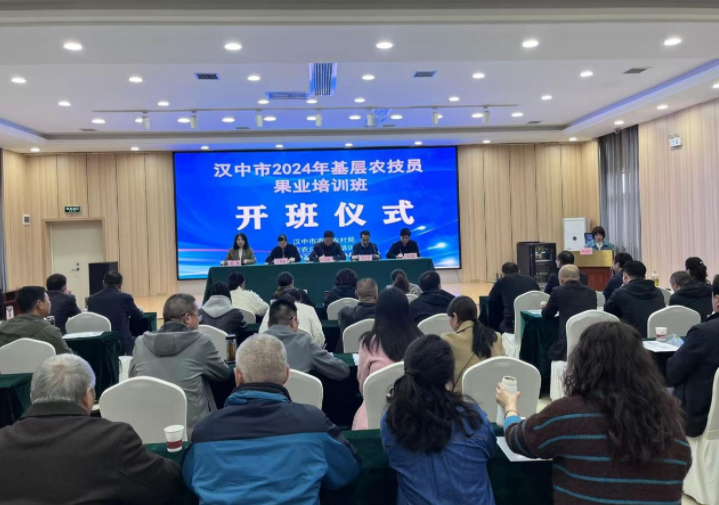 微信图片_20241118151450