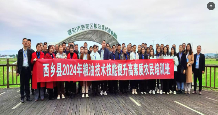 微信图片_20241122140645