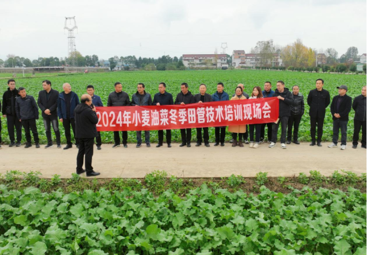 微信图片_20241122142340