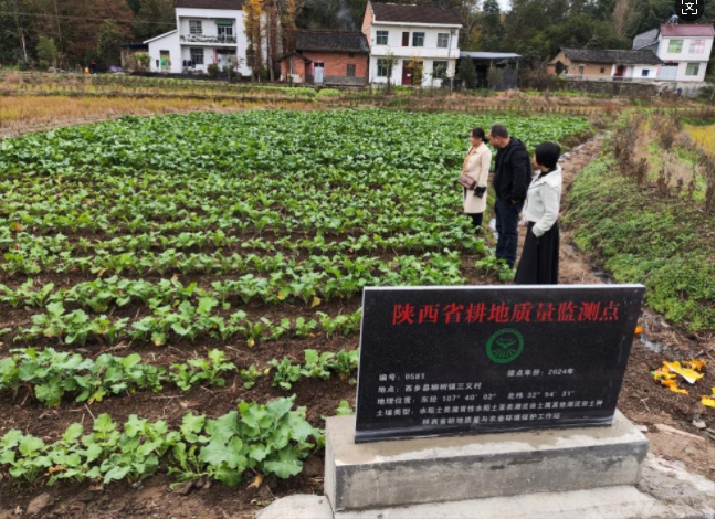 微信图片_20241127153039