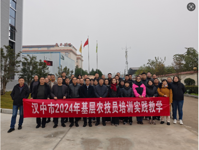 微信图片_20241206092139