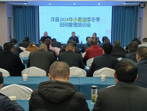 微信图片_20241206092733