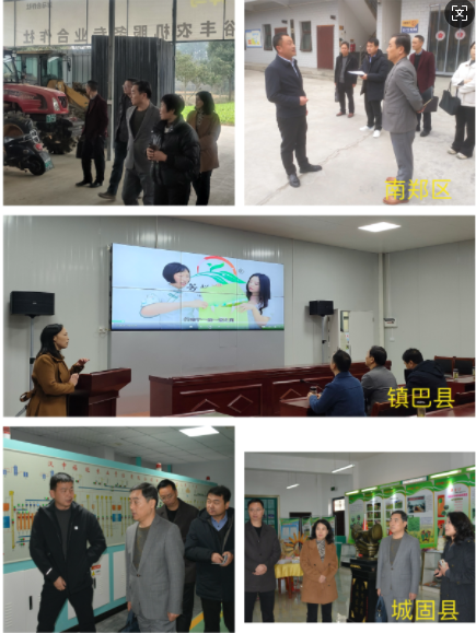 微信图片_20241206093535