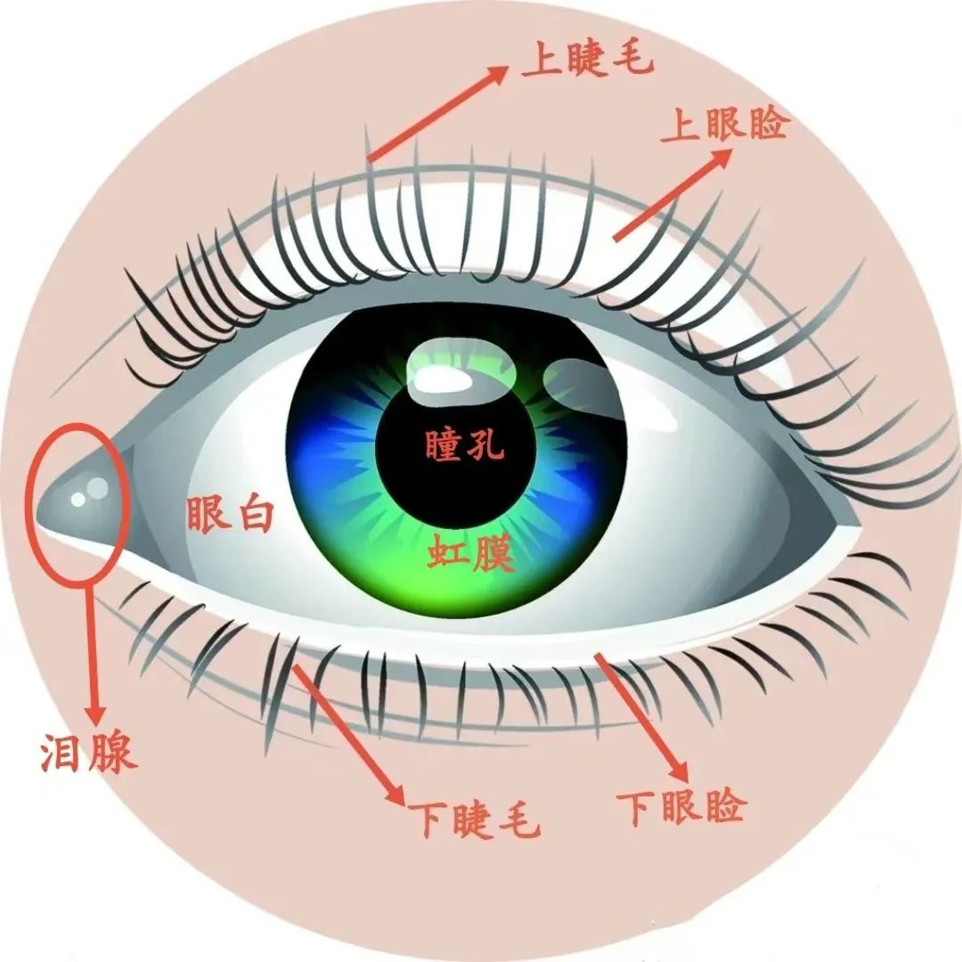 微信图片_20241206094249