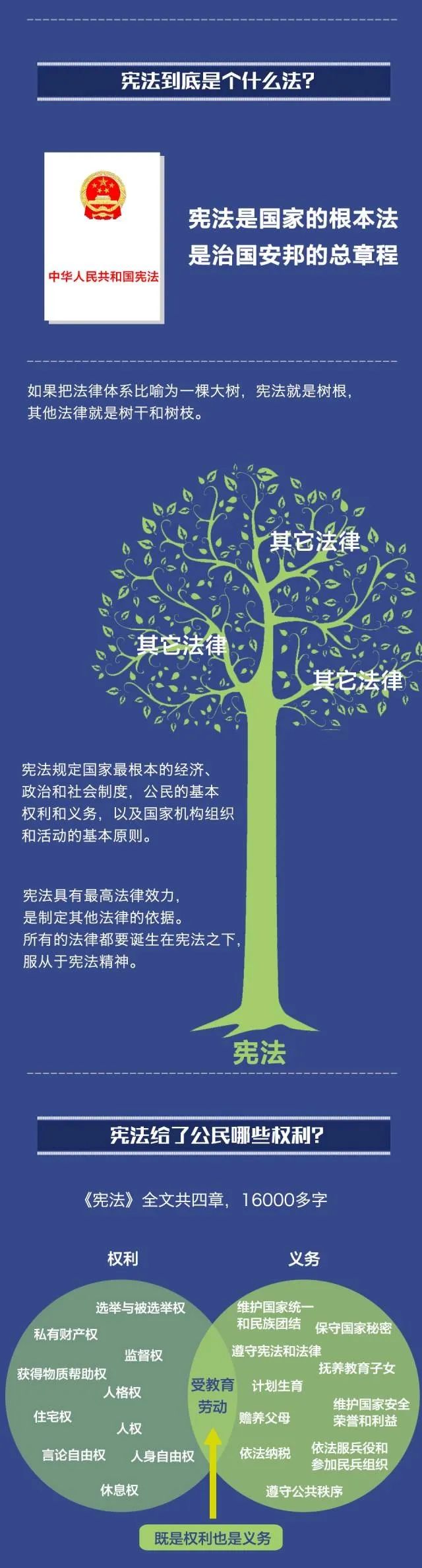 微信图片_20241206161723