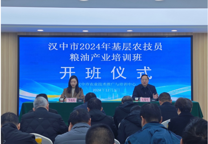 微信图片_20241213145240