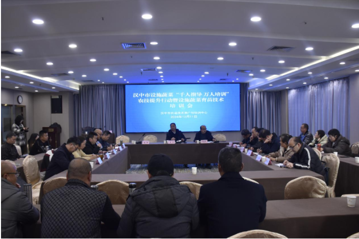 微信图片_20241218091625
