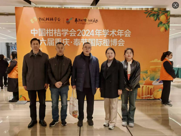 微信图片_20241218093017