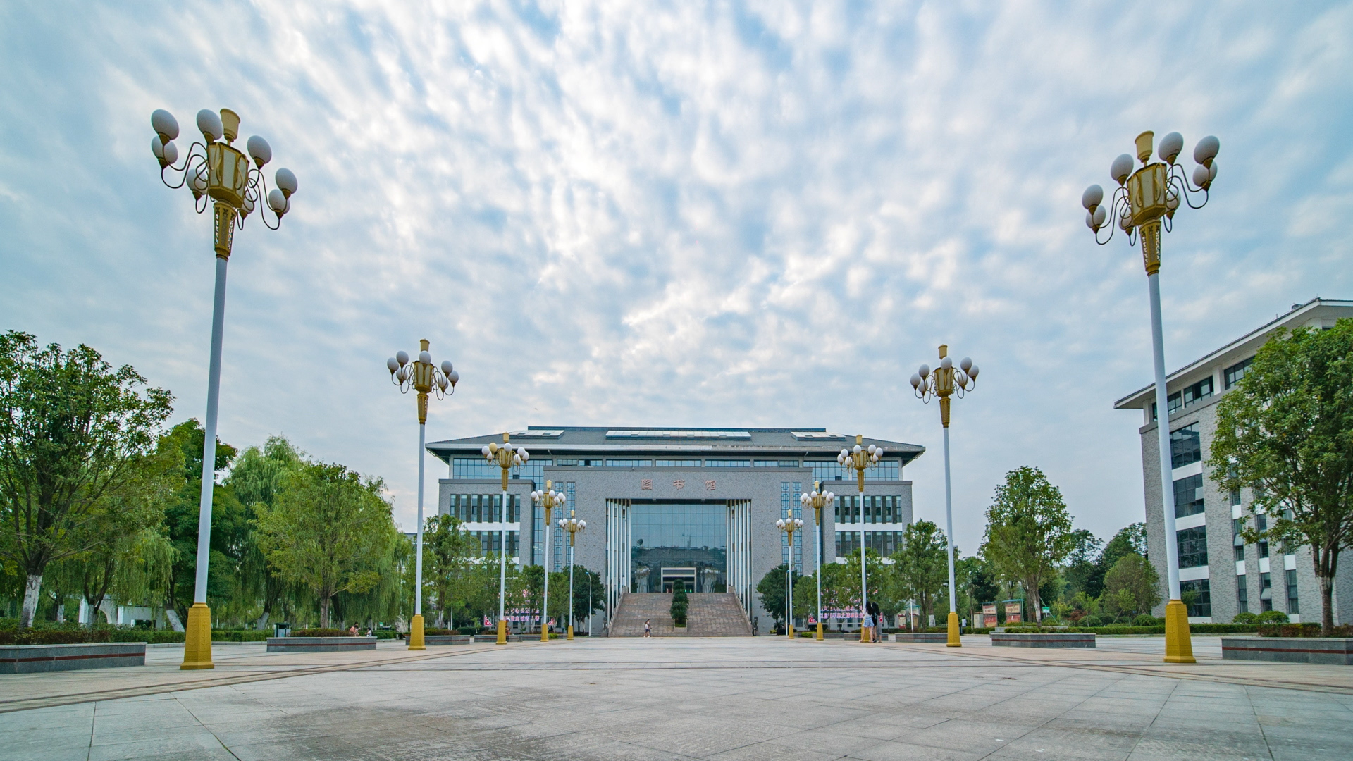 图书馆 图书馆