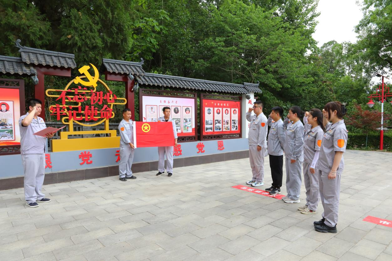 图片4
