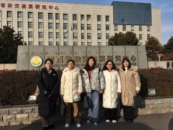 微信图片_20241227161750
