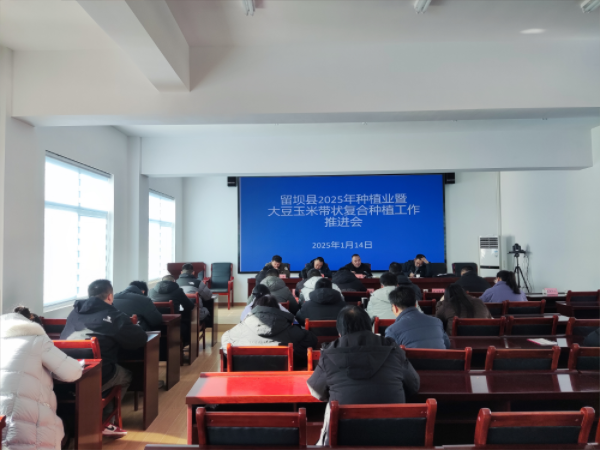 微信图片_20250117163324