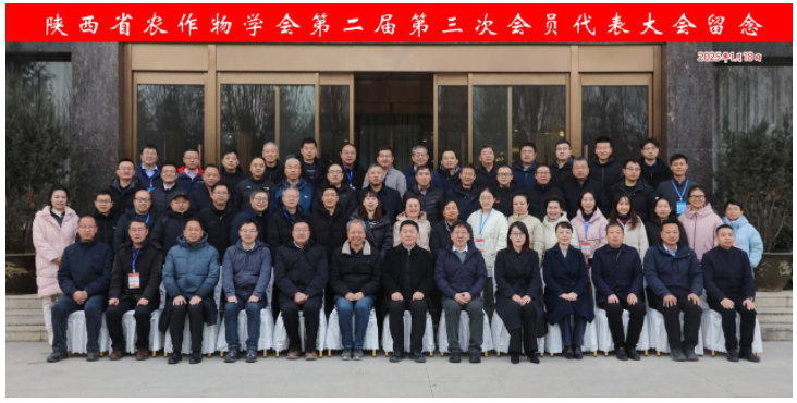 微信图片_20250122093940