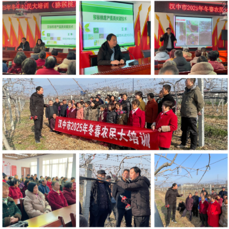 微信图片_20250122094809
