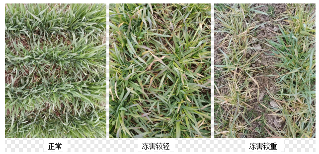 微信图片_20250221085007