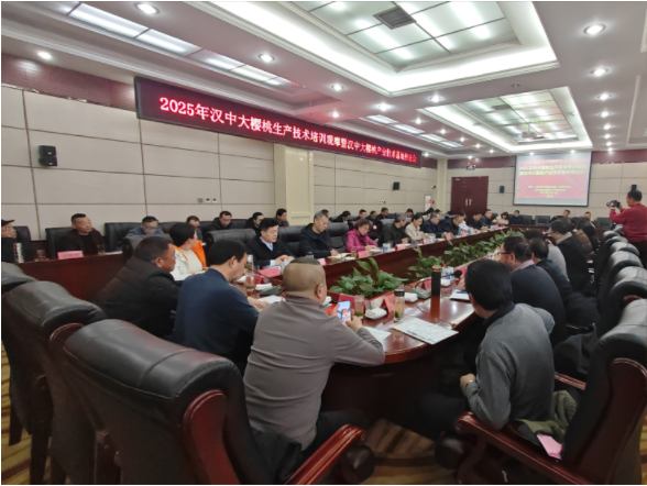 微信图片_20250221085721