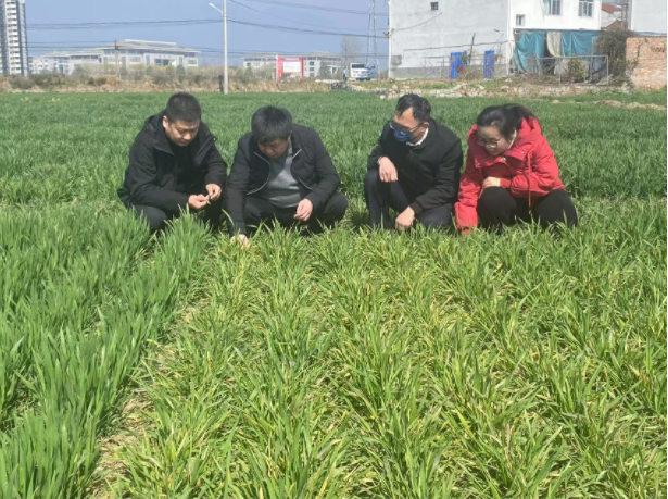 微信图片_20250303083507
