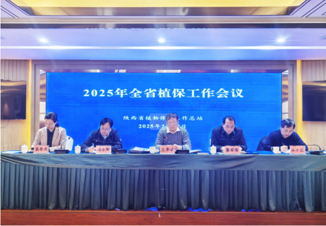 微信图片_20250303084401
