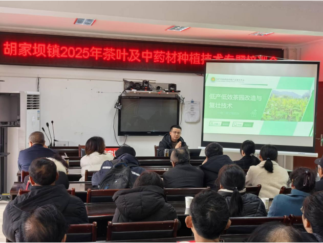 微信图片_20250307151524