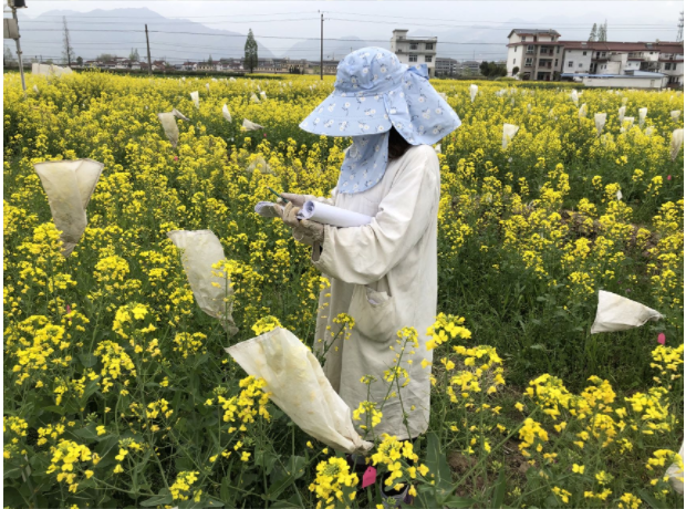 微信图片_20250403160054