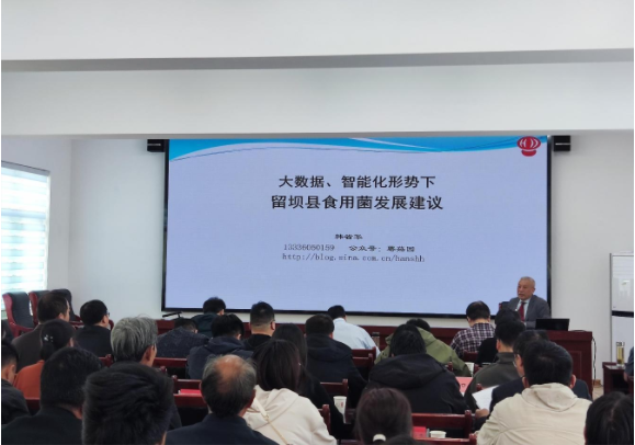 微信图片_20250425161815