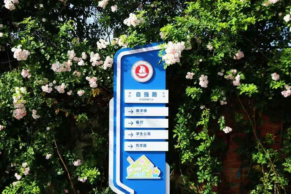 微信图片_20250520110547