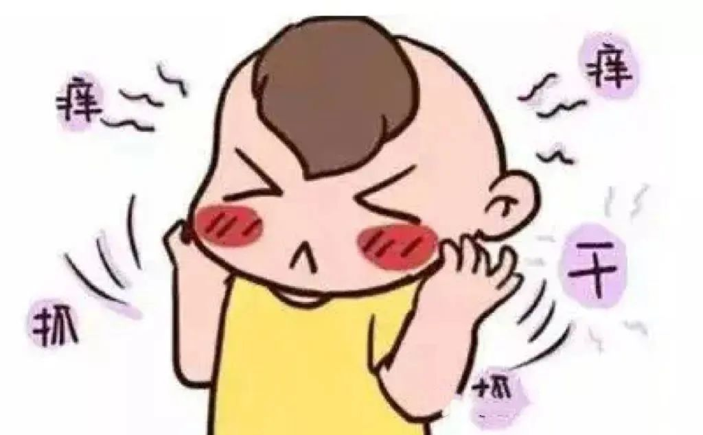 微信图片_20250617104527