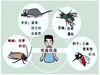 微信图片_20250618171150