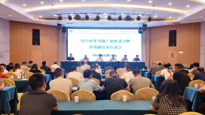 微信图片_20250623104507