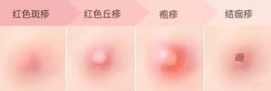 微信图片_20250722161705